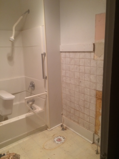 Main bath before