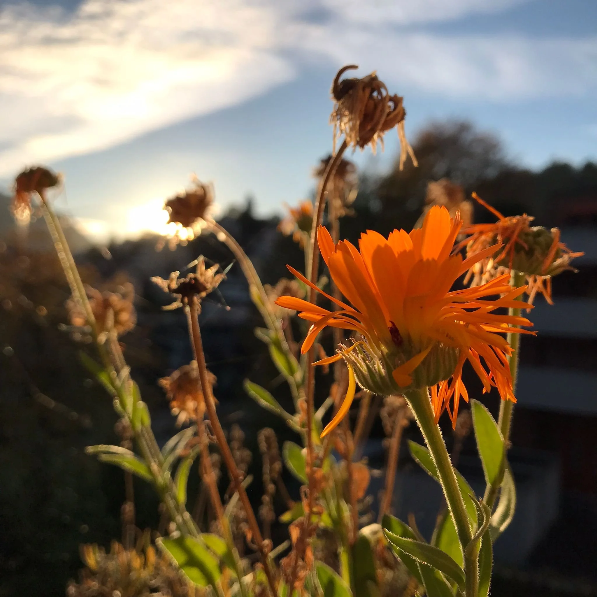 Herbstkurs in Luzern