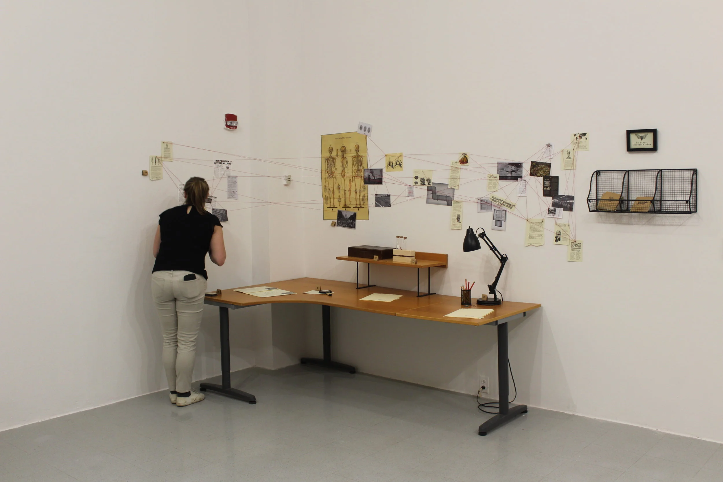Lobo Installation 02.JPG