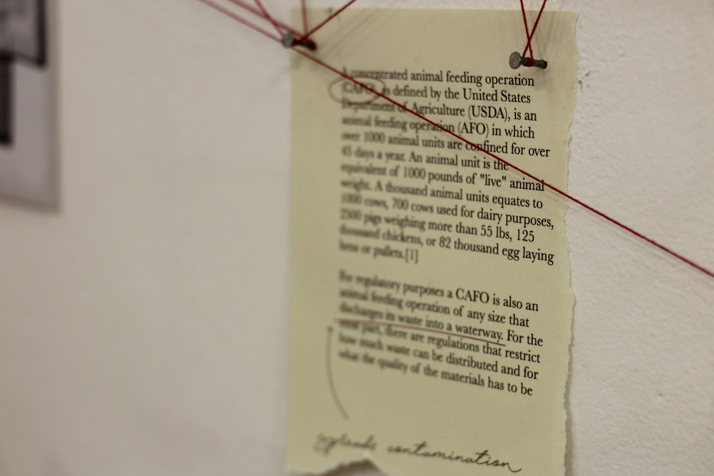 Lobo Installation 11.JPG