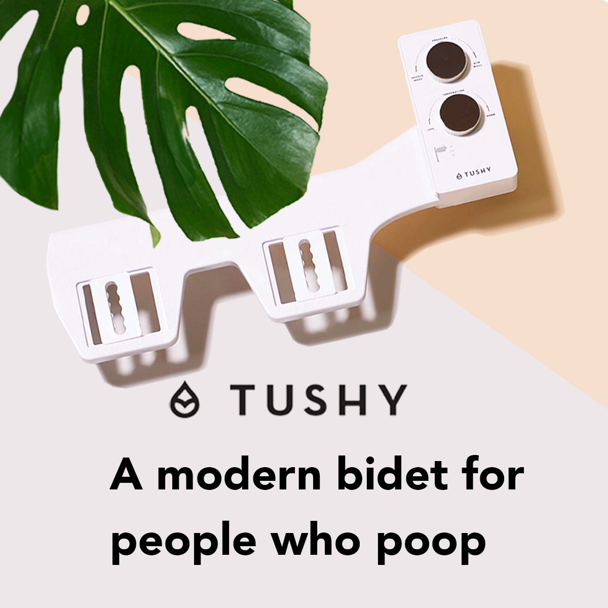 insta_tushy_ad.gif