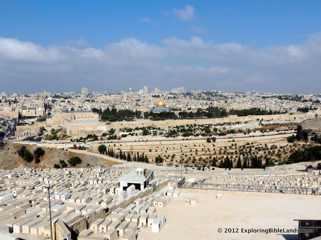 file_zps5d96c665-001.jpg