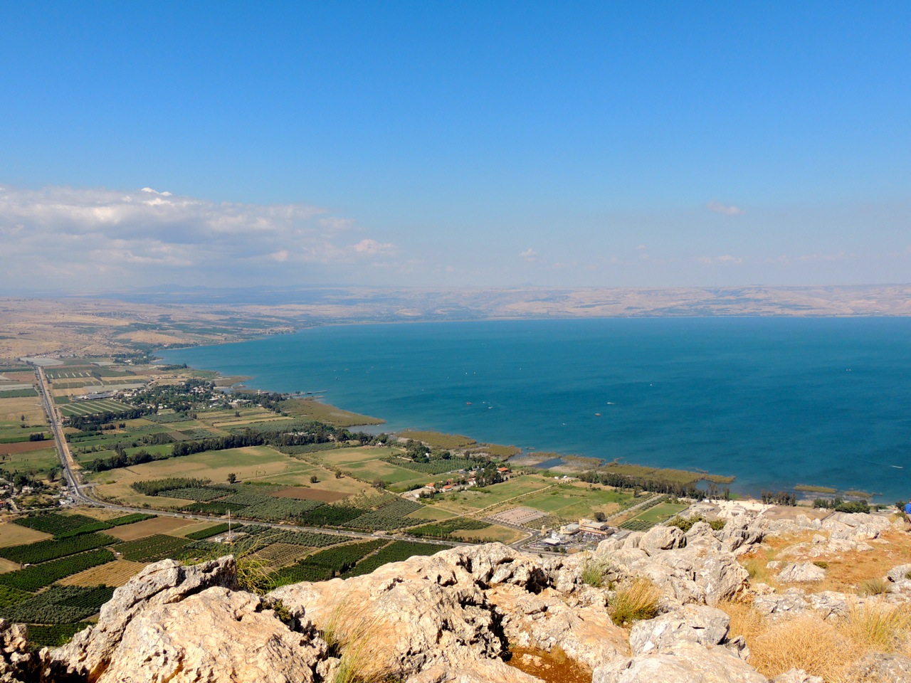 arbel.jpg