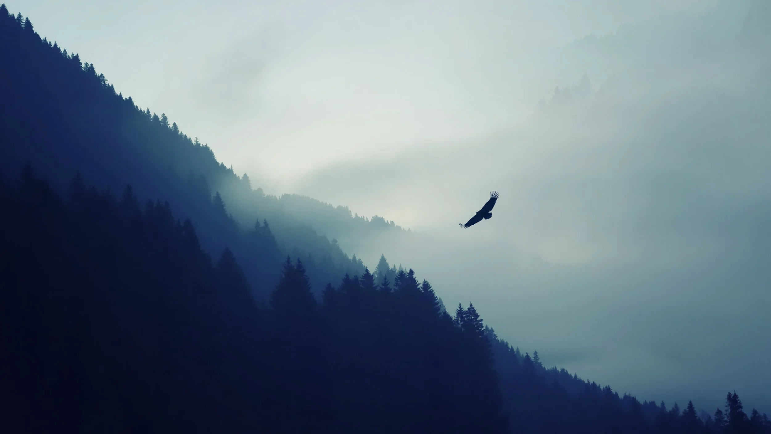 nature_mountain_falcon_3840x2160.jpg