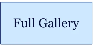 Learn More Button_edited-1.jpg