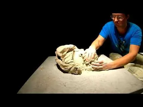 I don't want to do this anymore