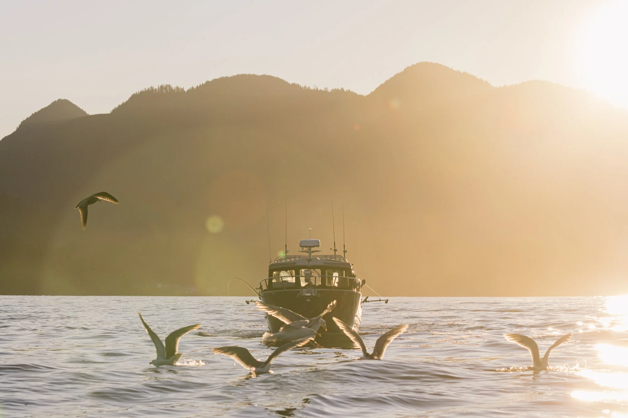 Walters Lodge RWC Small-305.jpg