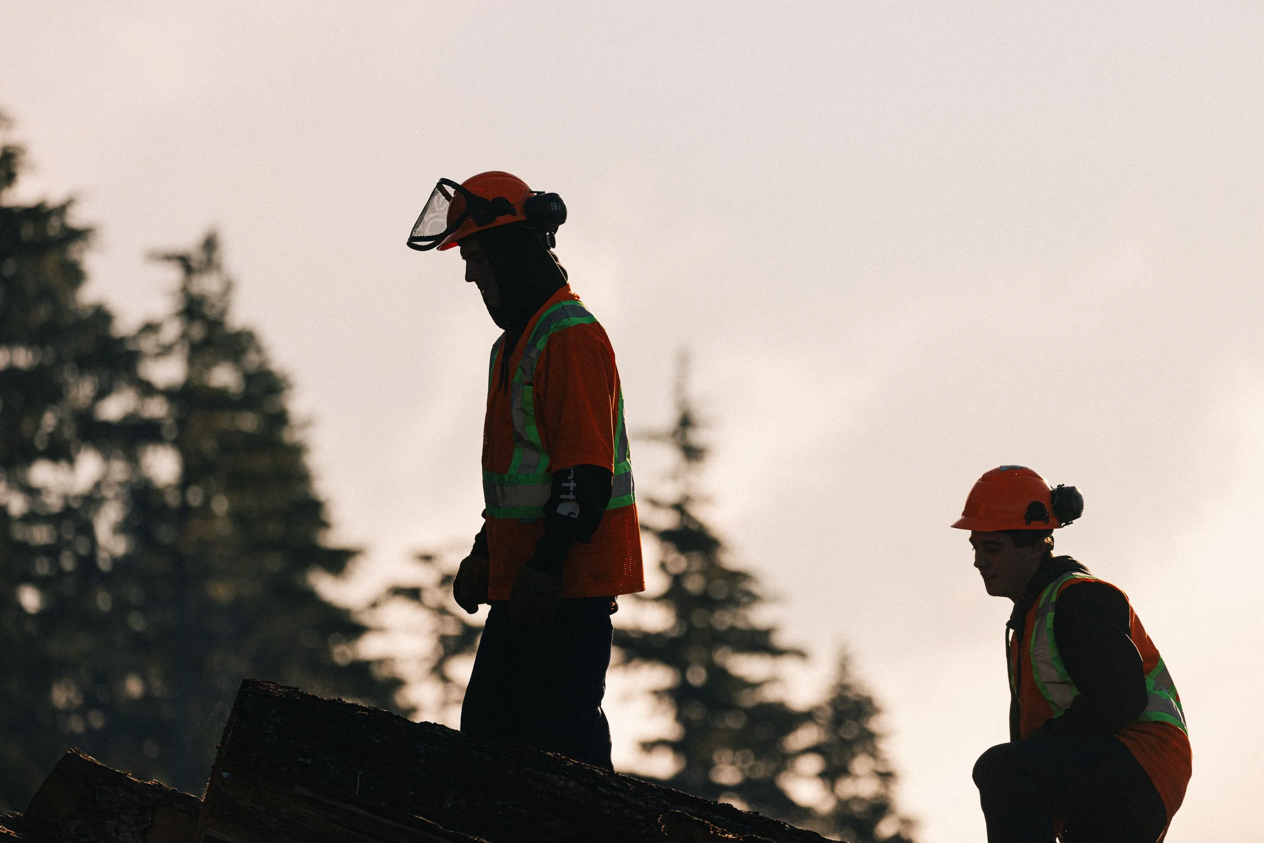 FORESTRY SMALL-23.jpg