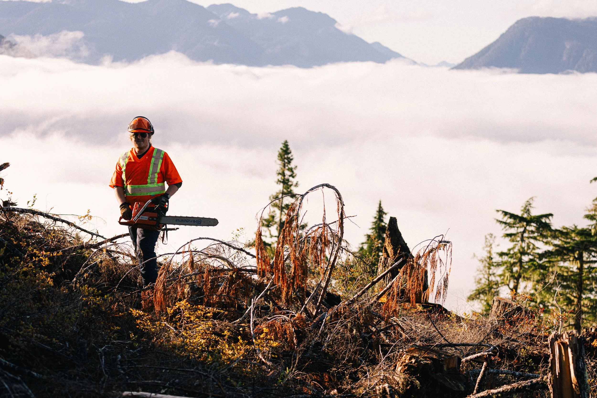 FORESTRY SMALL-33.jpg