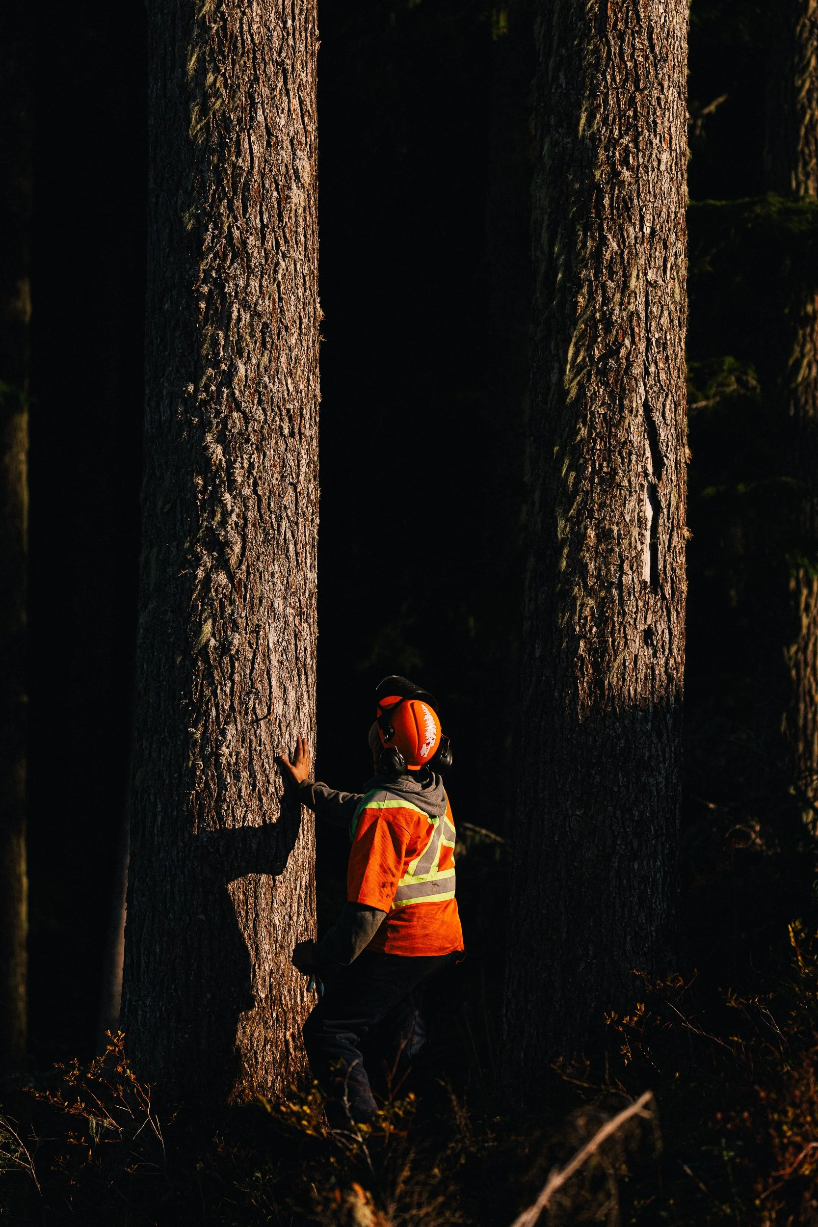 FORESTRY SMALL-41.jpg