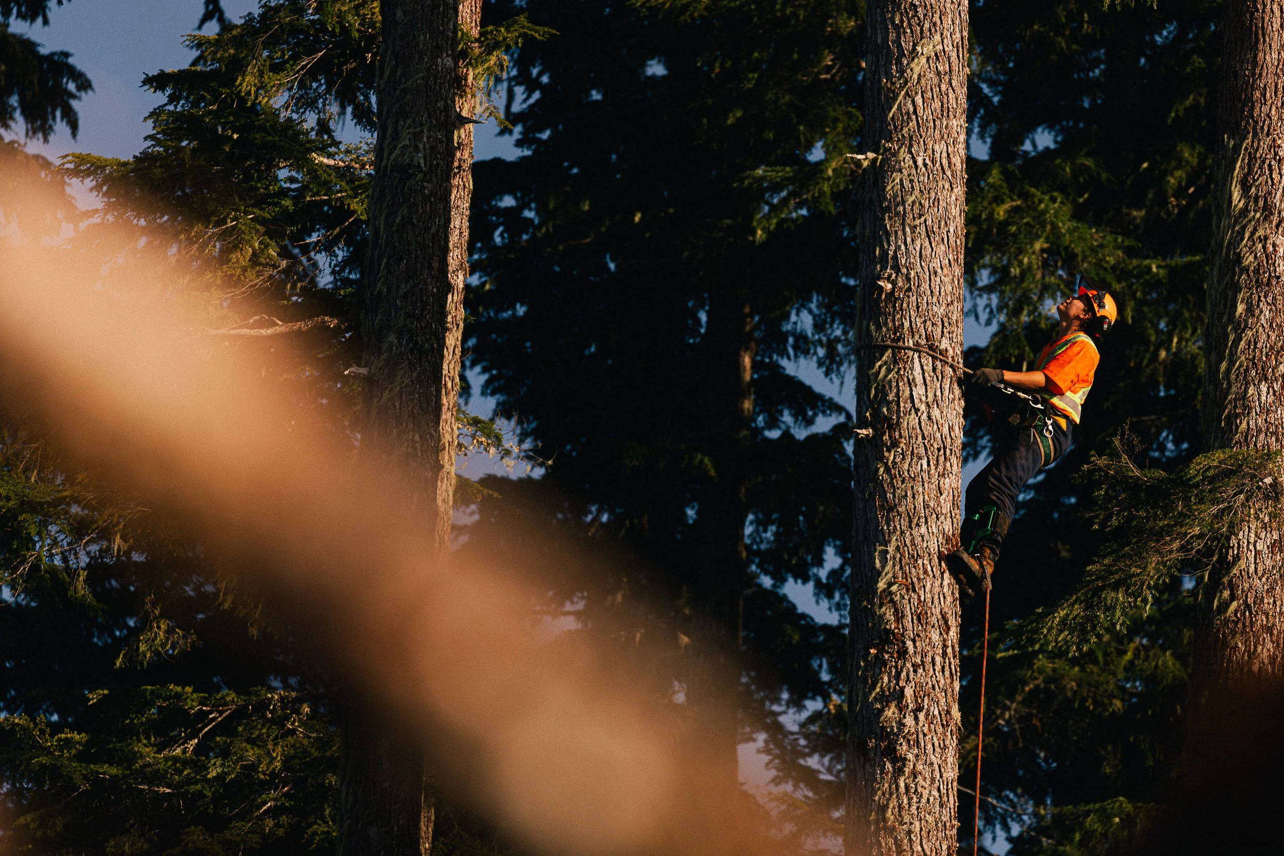 FORESTRY SMALL-56.jpg