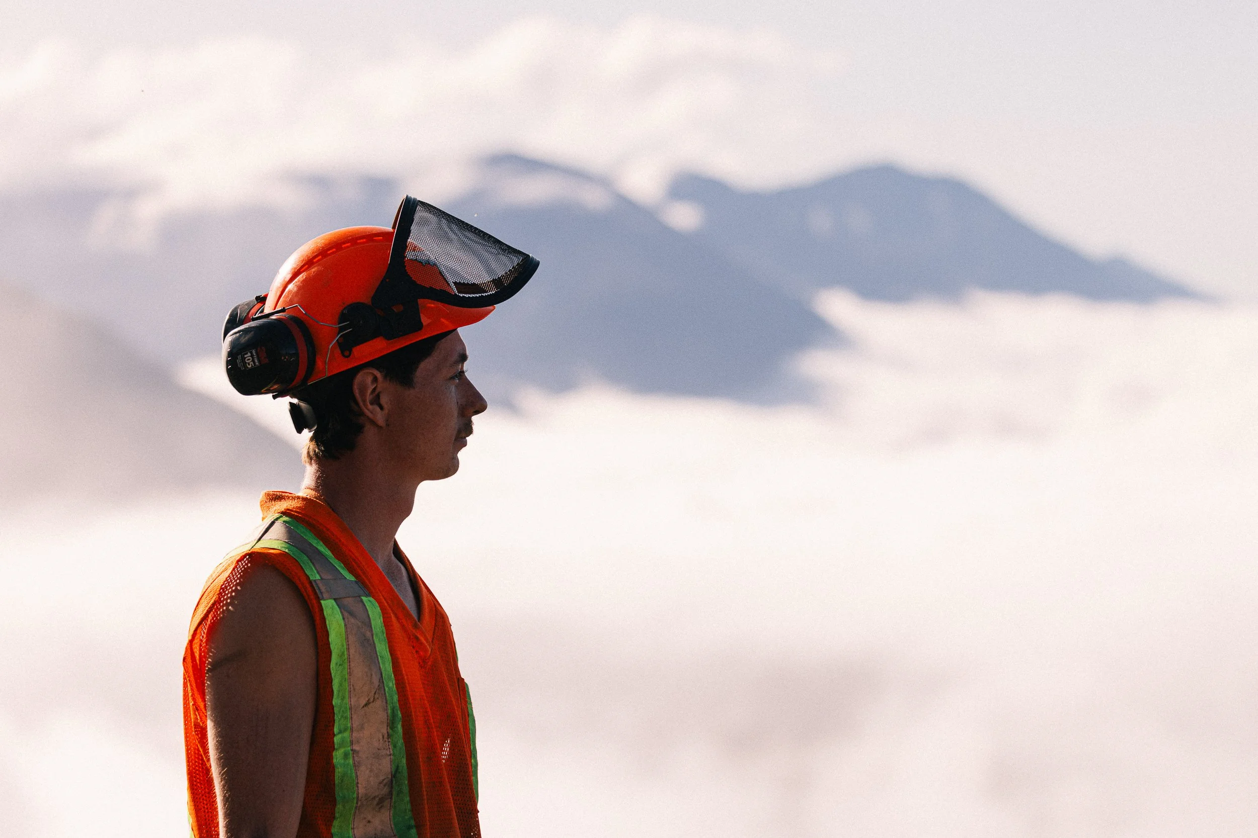 FORESTRY SMALL-73.jpg