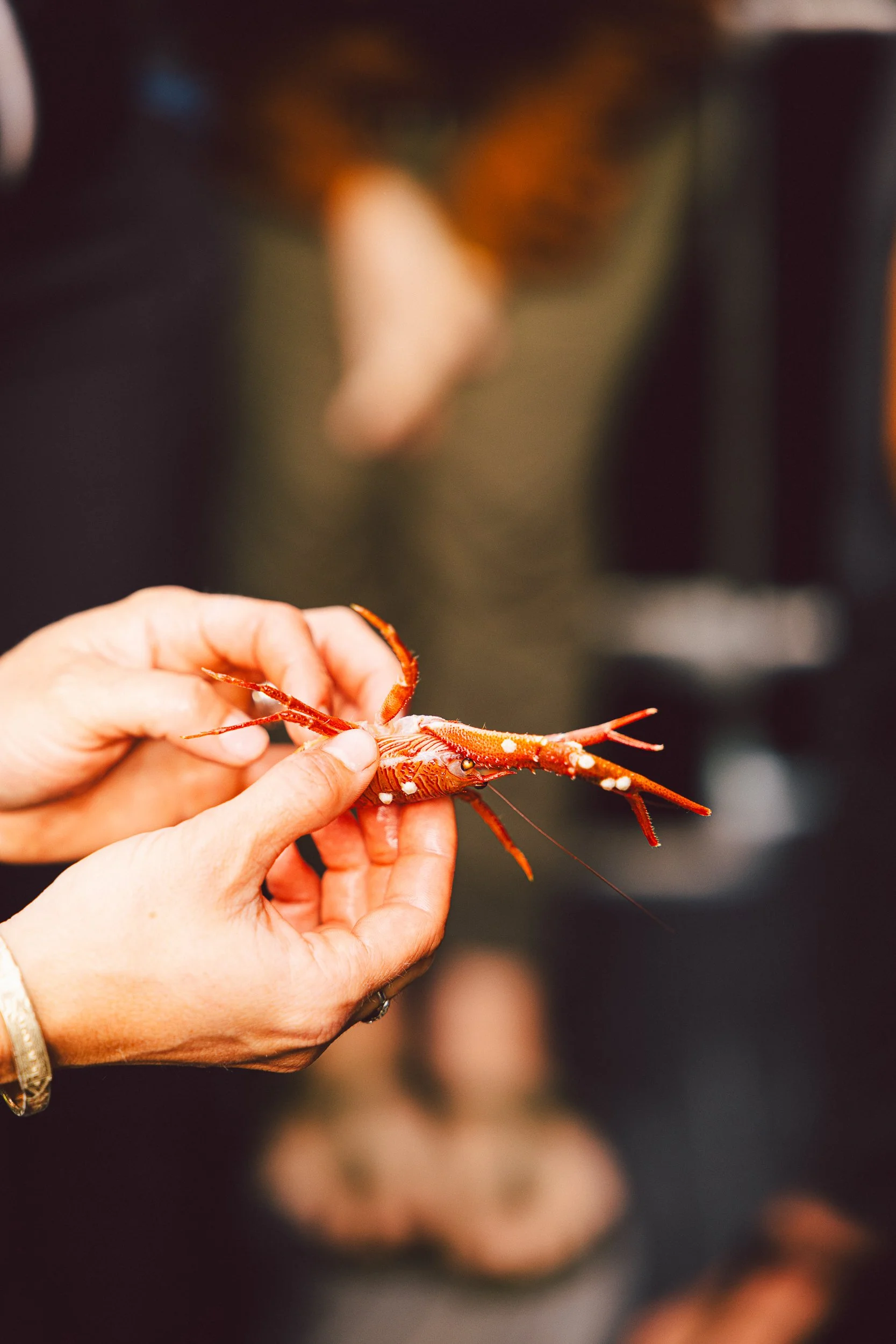 Portfolio small_-22.jpg