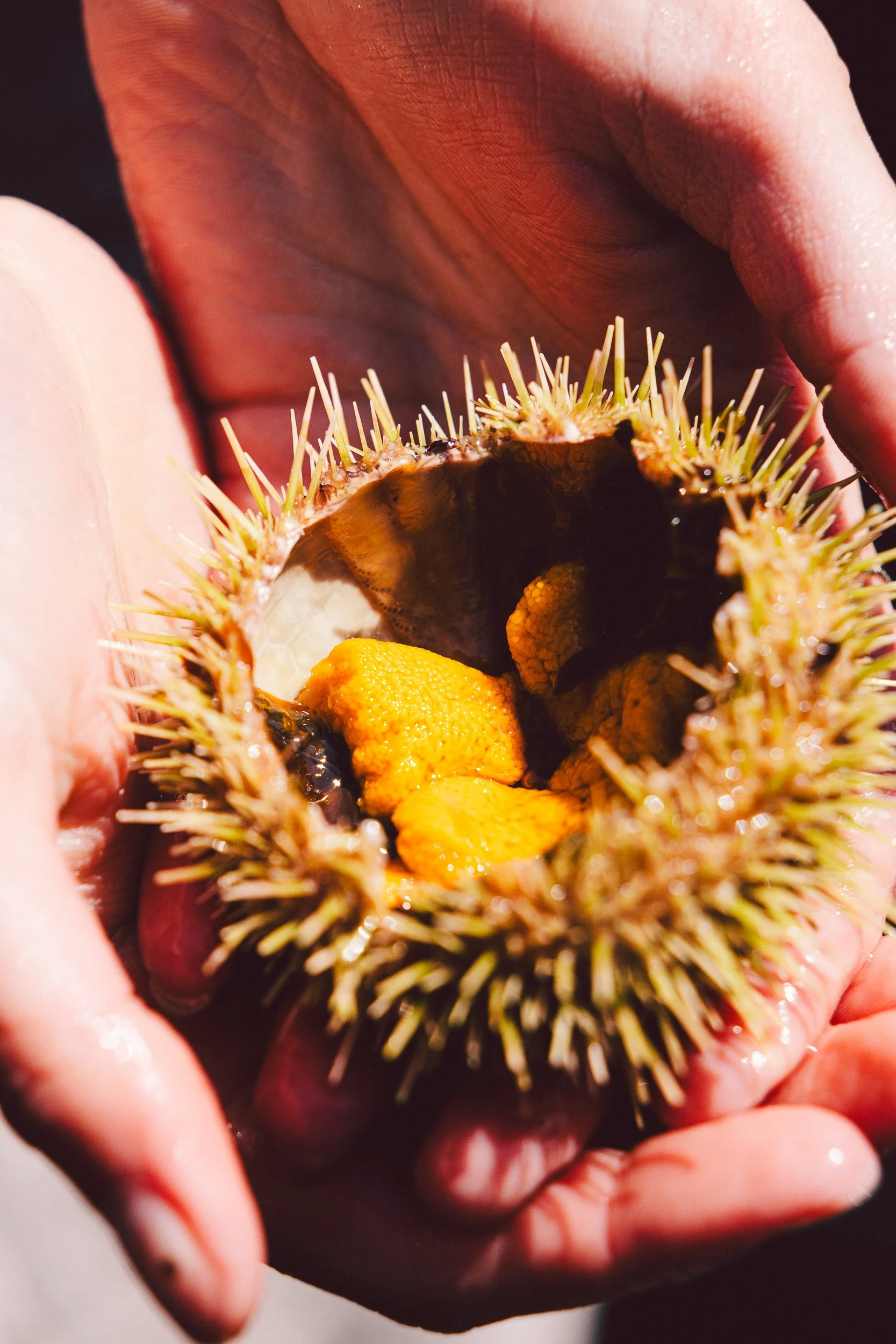 Portfolio small_-24.jpg