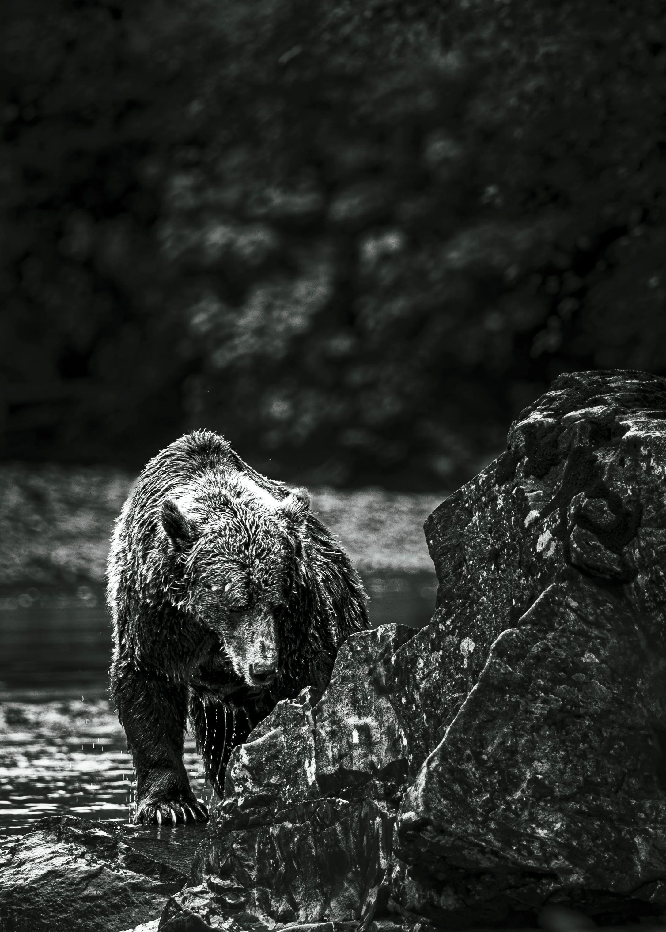 Grizzlies-29.jpg