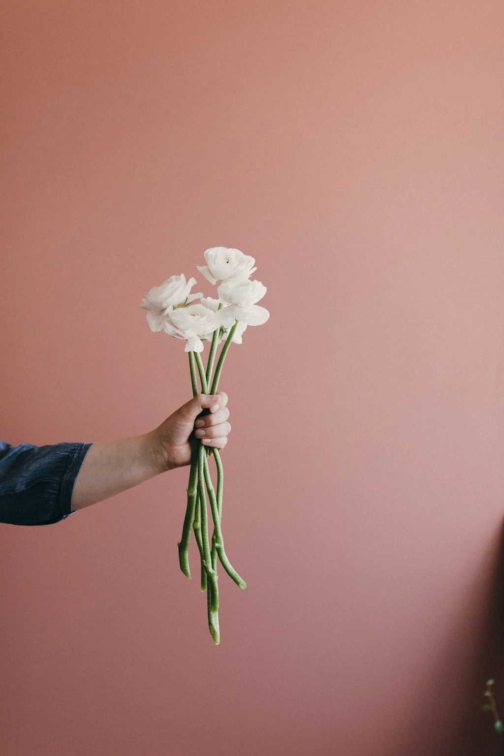 CT Flowers.jpg
