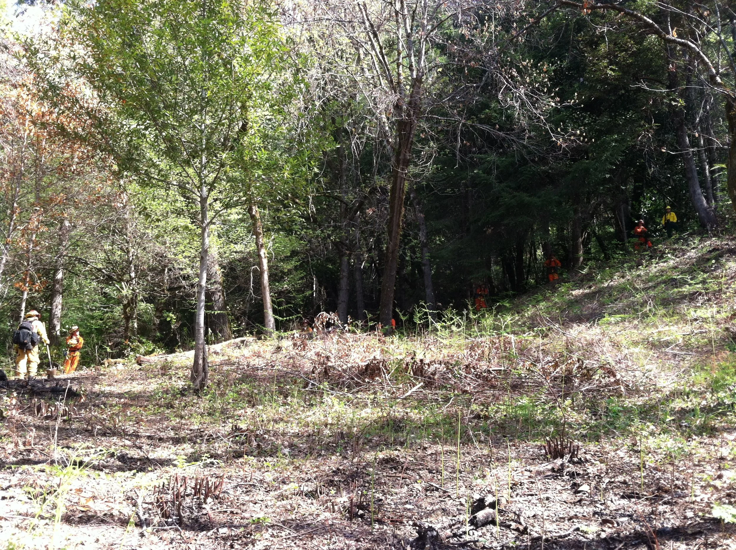 04.2013 Weitchpec Burn 04.jpg