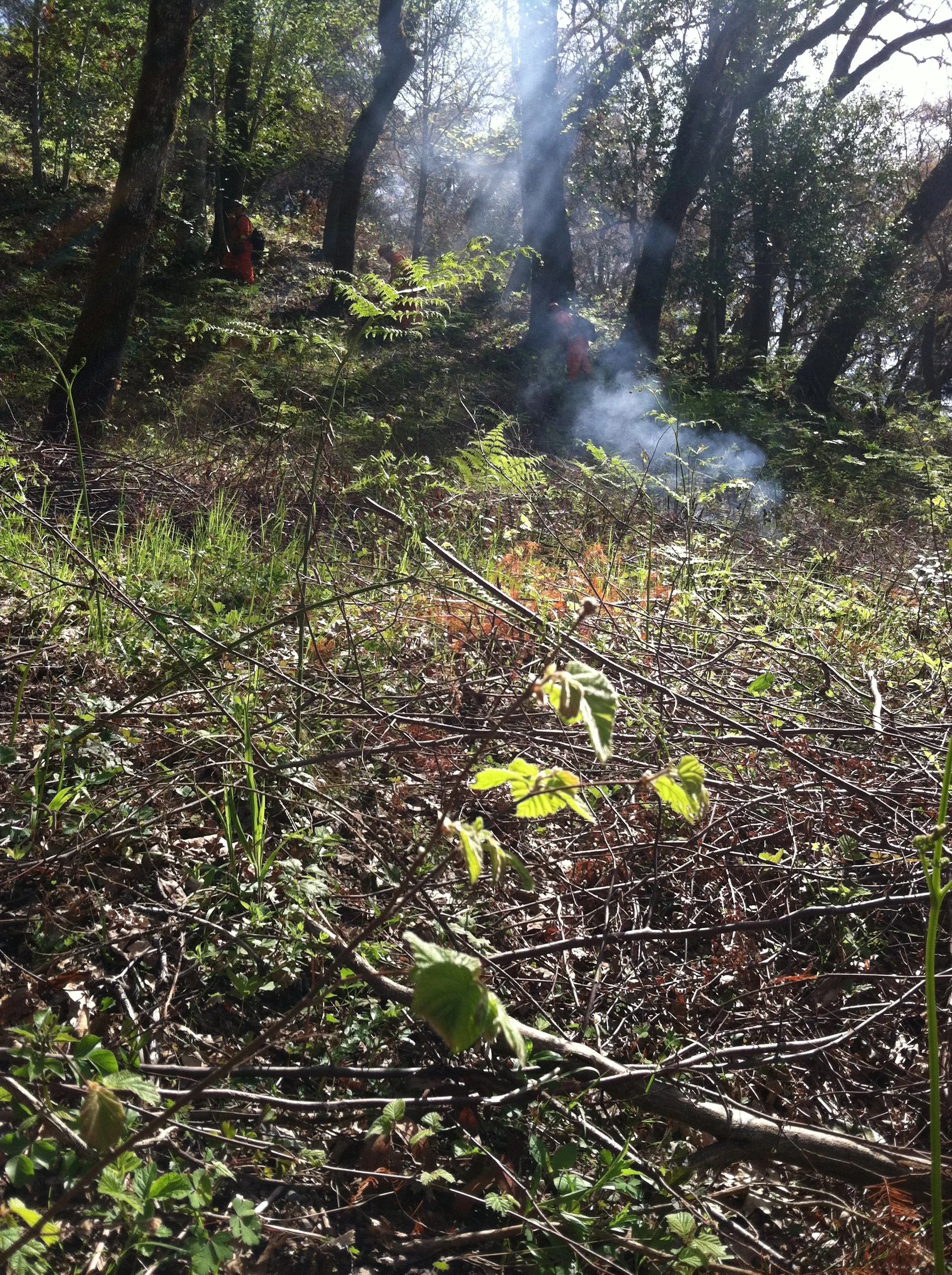 04.2013 Weitchpec Burn 20.jpg