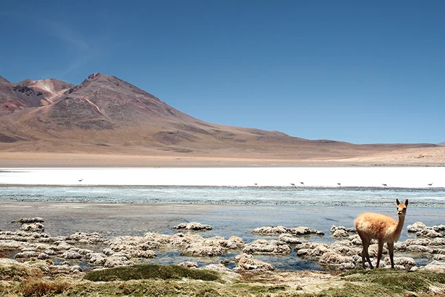 Salar de Uyuni, Bolivia