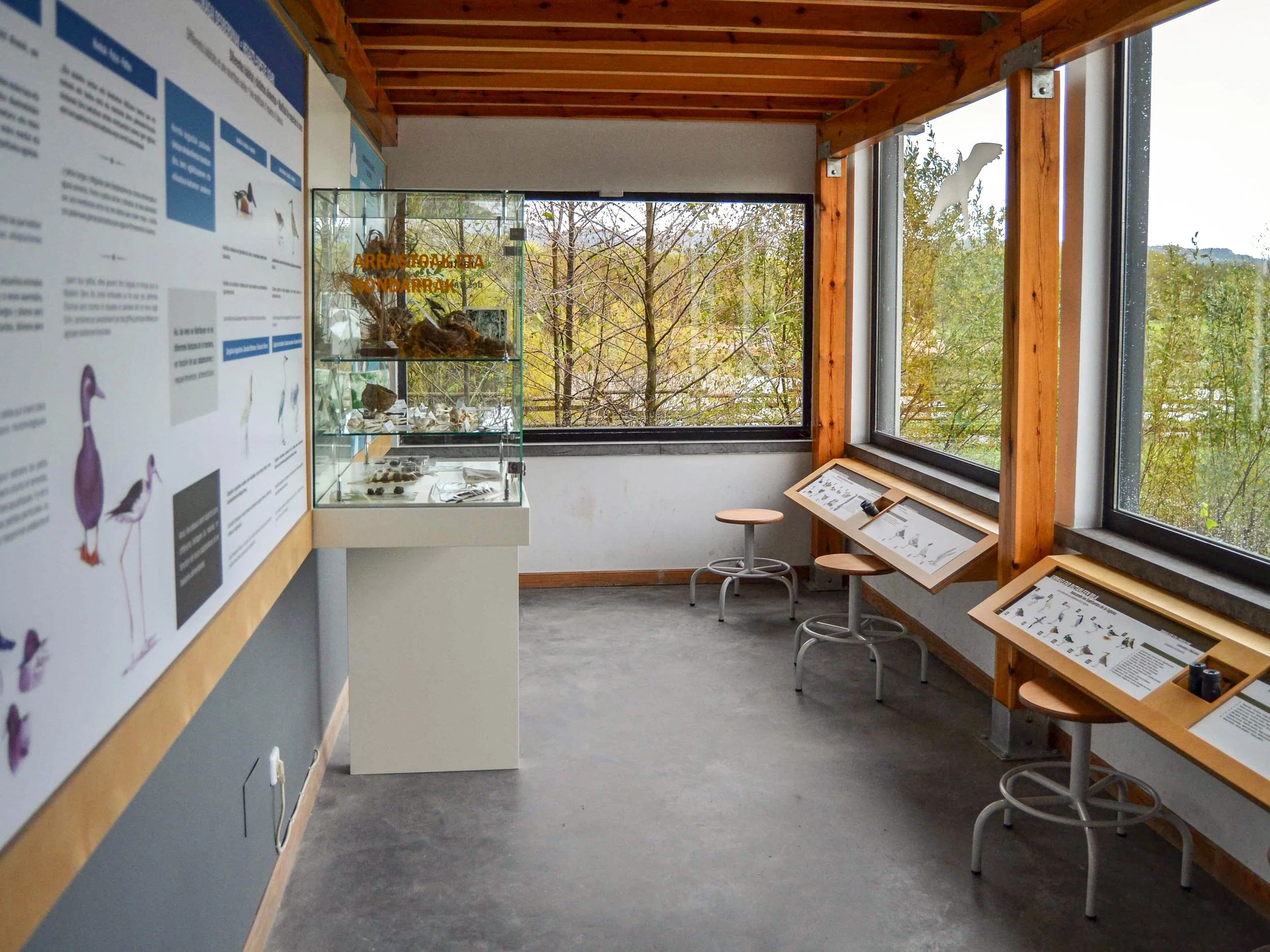 Diseño de museografía y contenidos interpretativos para el centro de observación de aves Ekoetxea Txingudi en Irún, un proyecto de arquitectura narrativa y educación ambiental por Campos & Pradel.