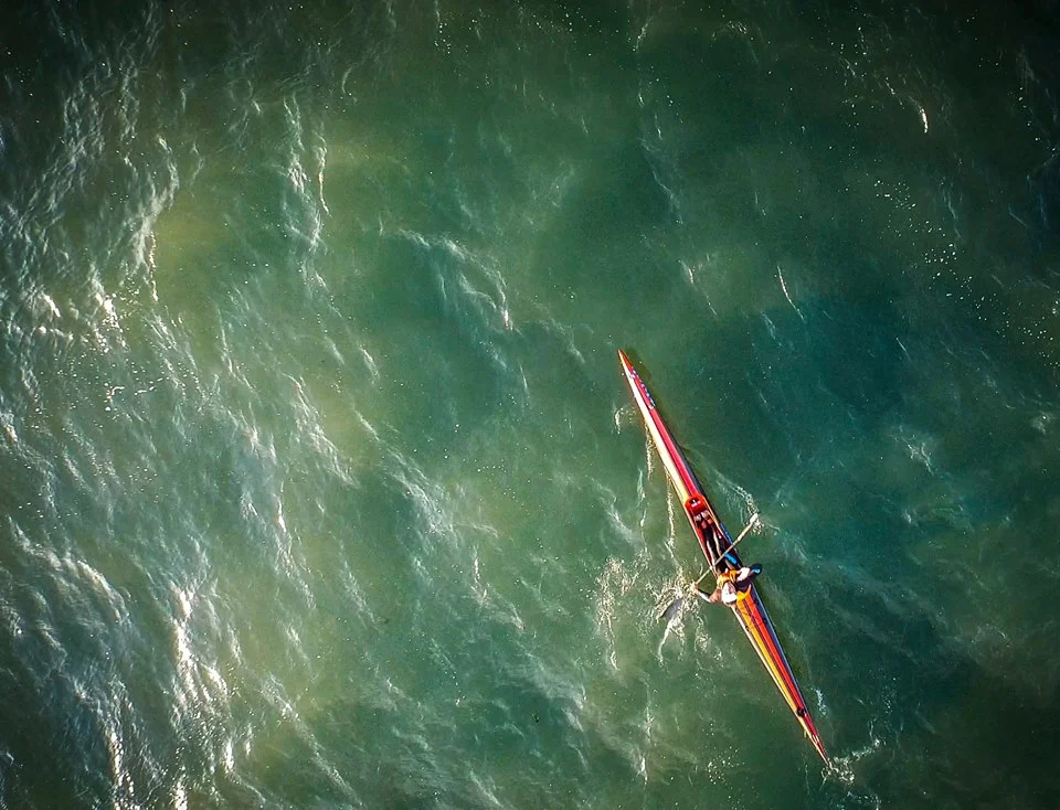 Birds Eye