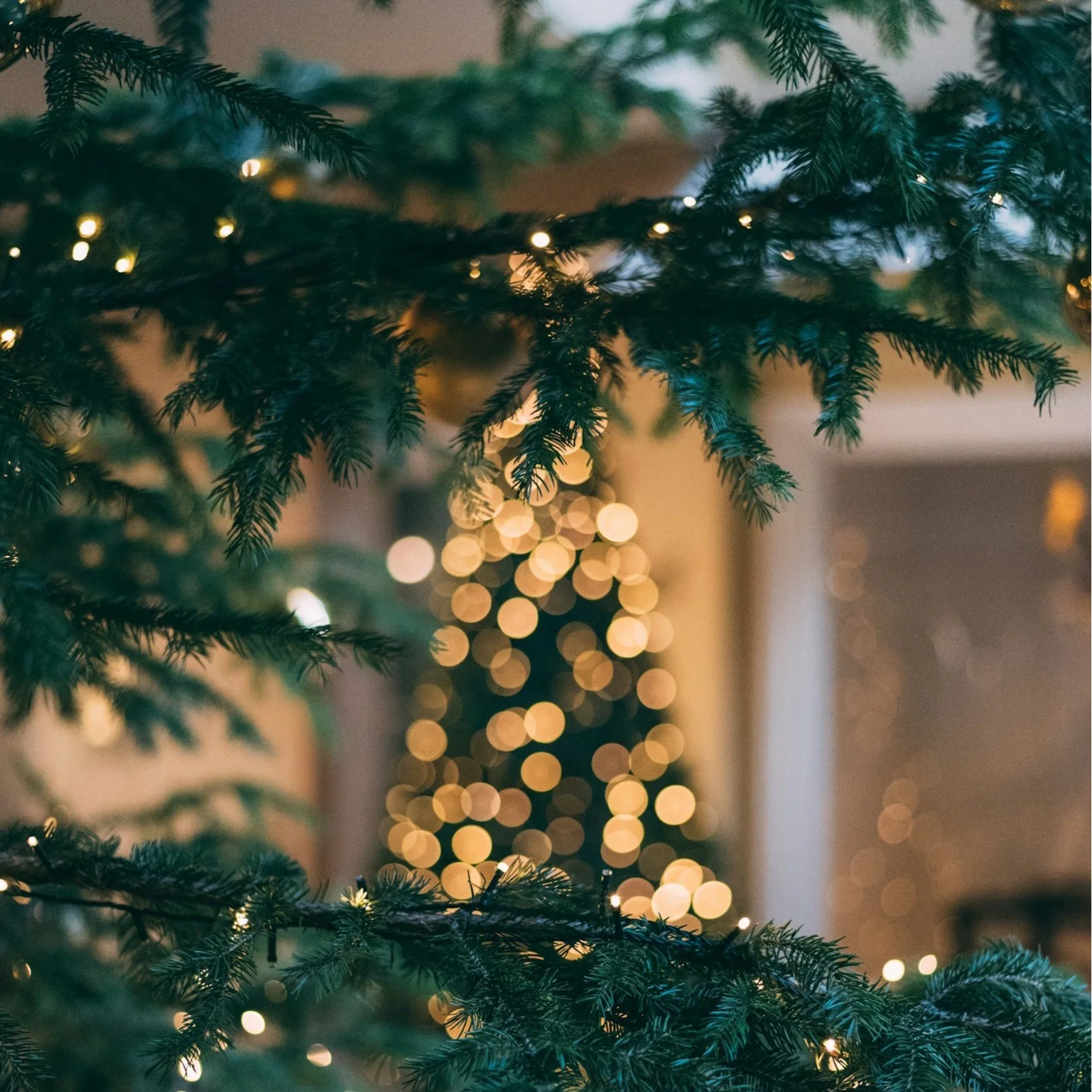 Christmas Carolers &amp; Holiday Celebration
