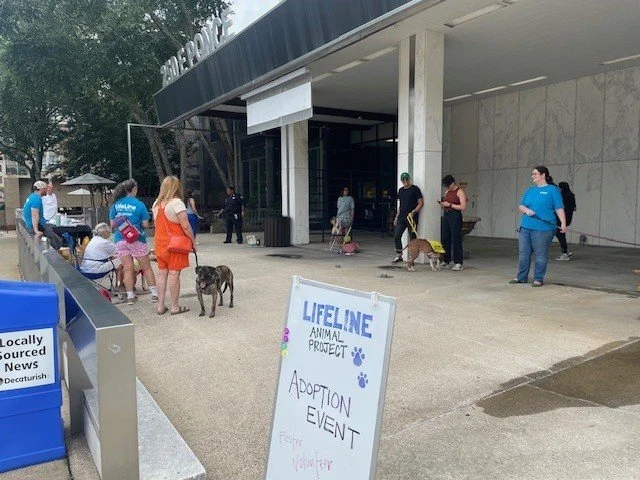 Fostering Joy and Connection