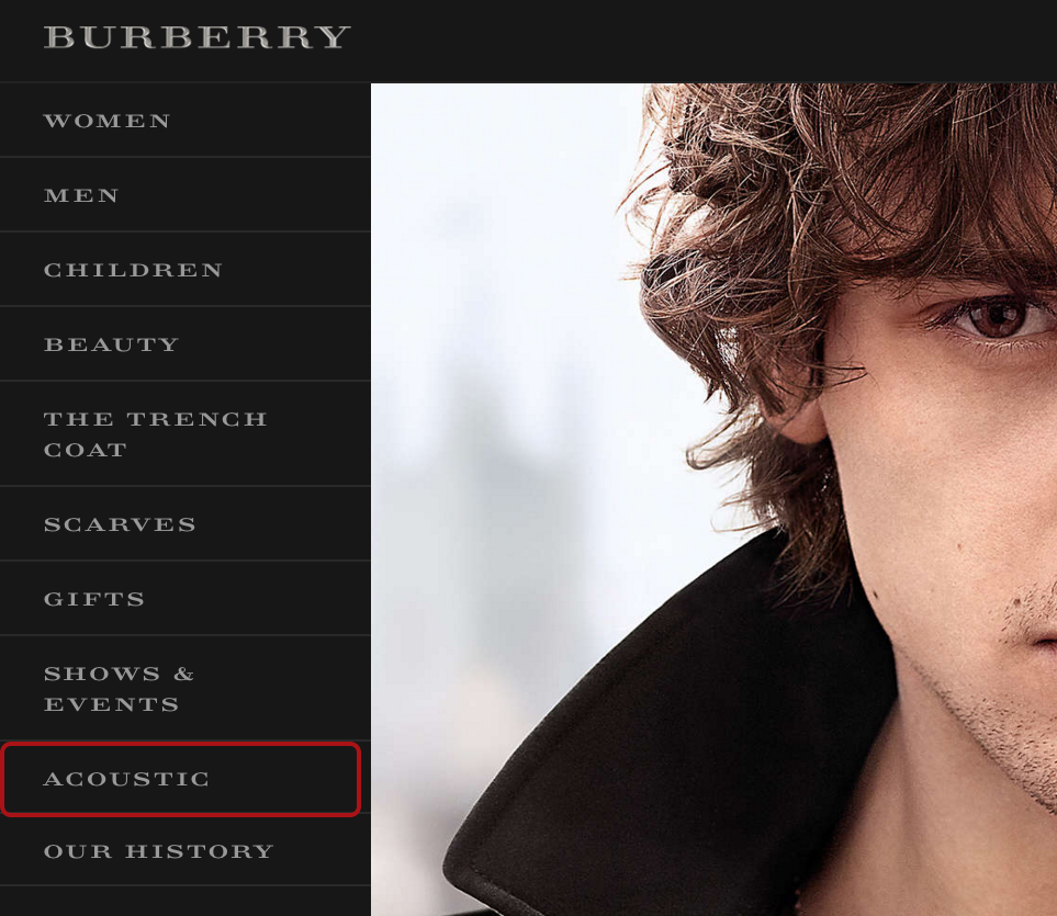 burberry website