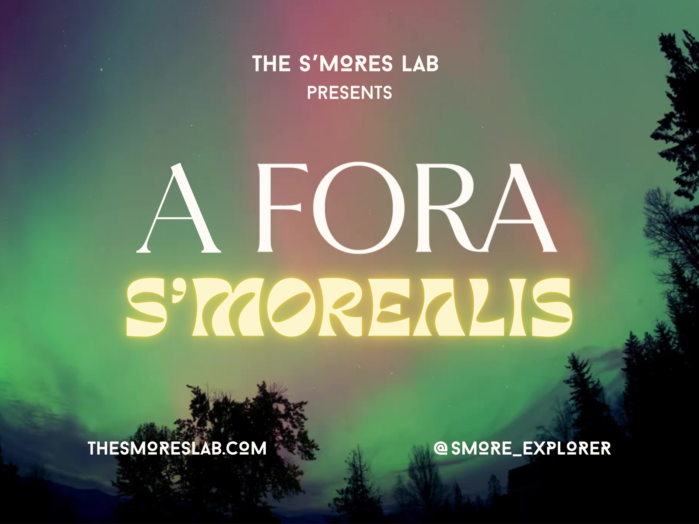  Aurora Borealis-themed S'mores Lab for the Fora Travel company holiday party 