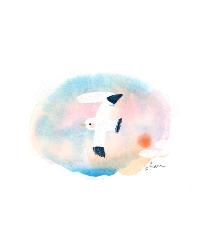 Little Seagull
