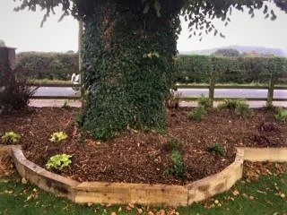 image1.JPG