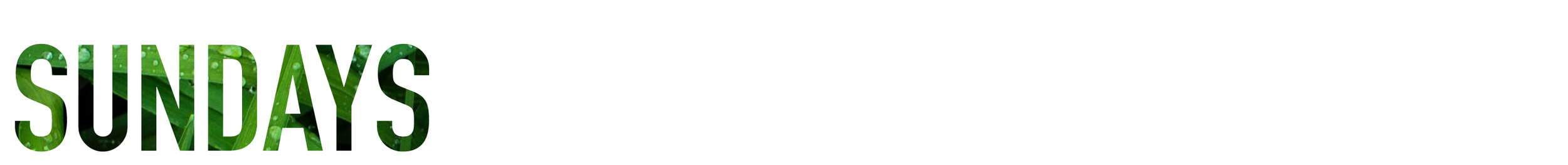 Beulah Sundays-01.png