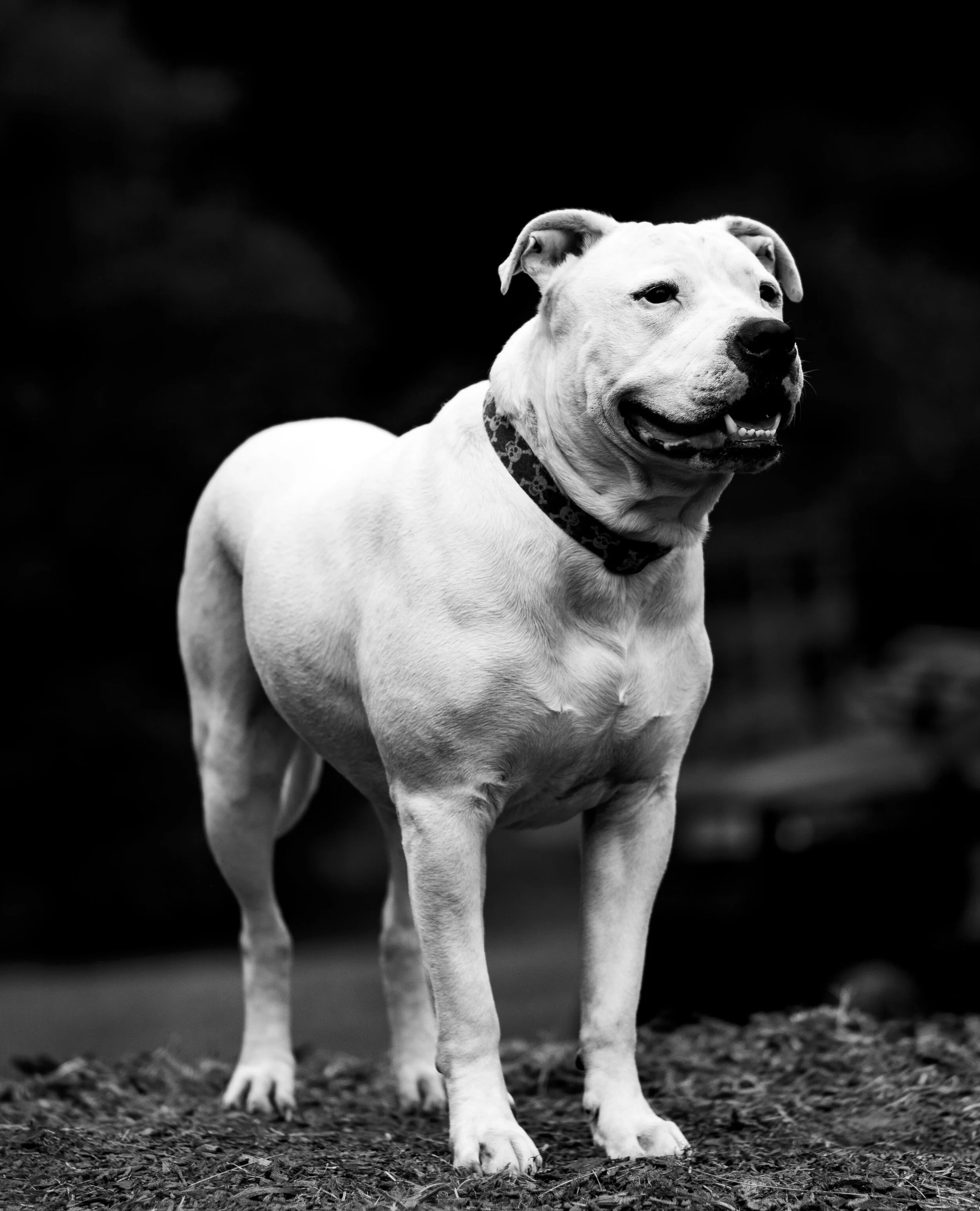 Hoss