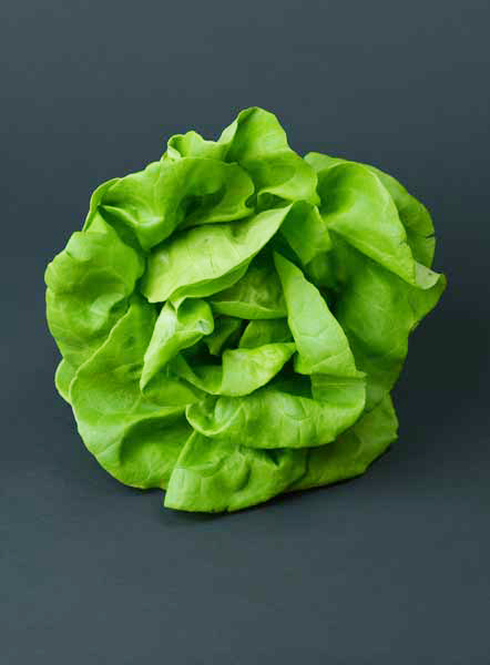 Suncrest™ Bibb Lettuce.