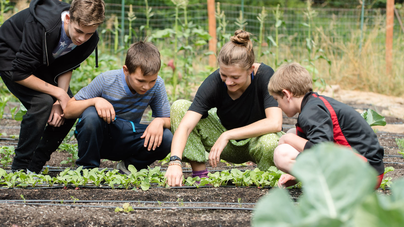 HVC-112-Gardening.jpg