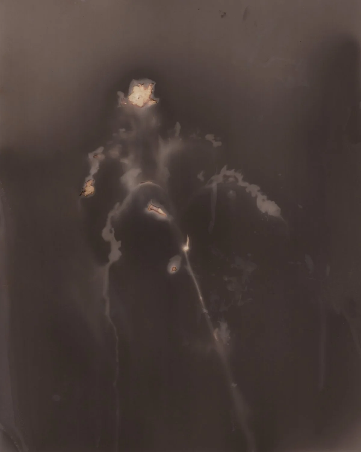 hermitage lumen edited-2.jpg