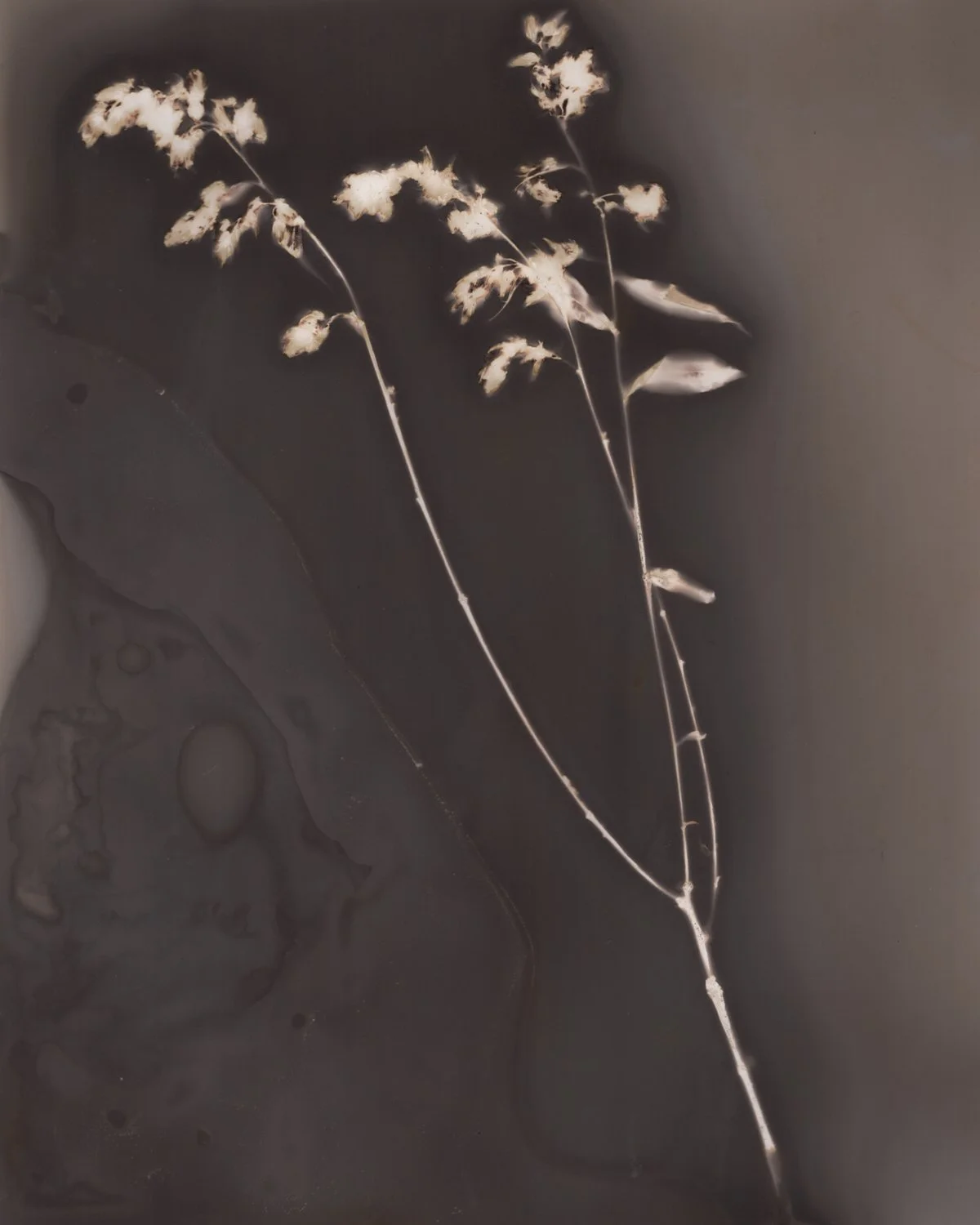 hermitage lumen edited-1.jpg