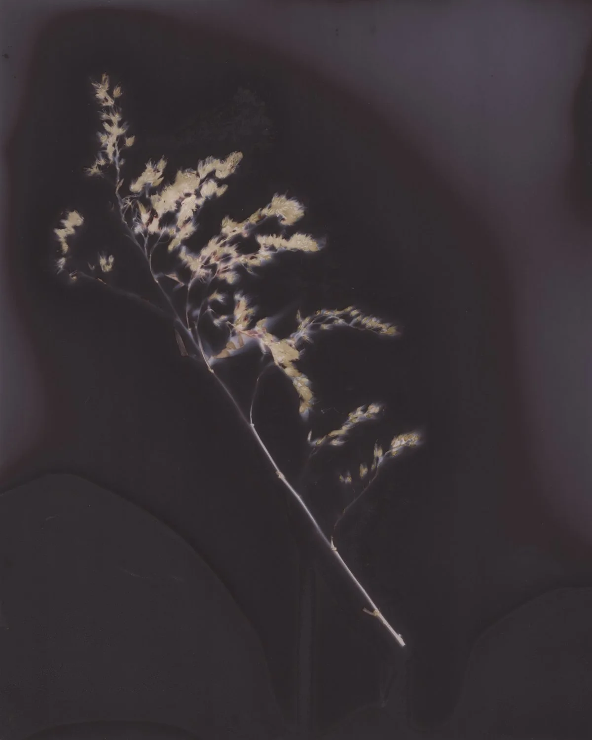 hermitage lumen edited-3.jpg