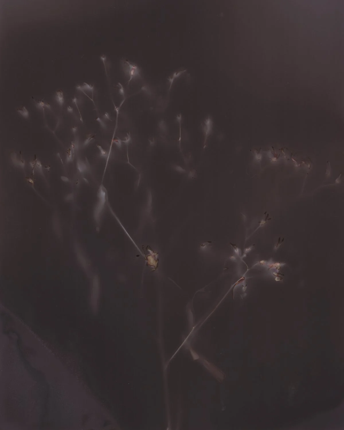 hermitage lumen edited-7.jpg