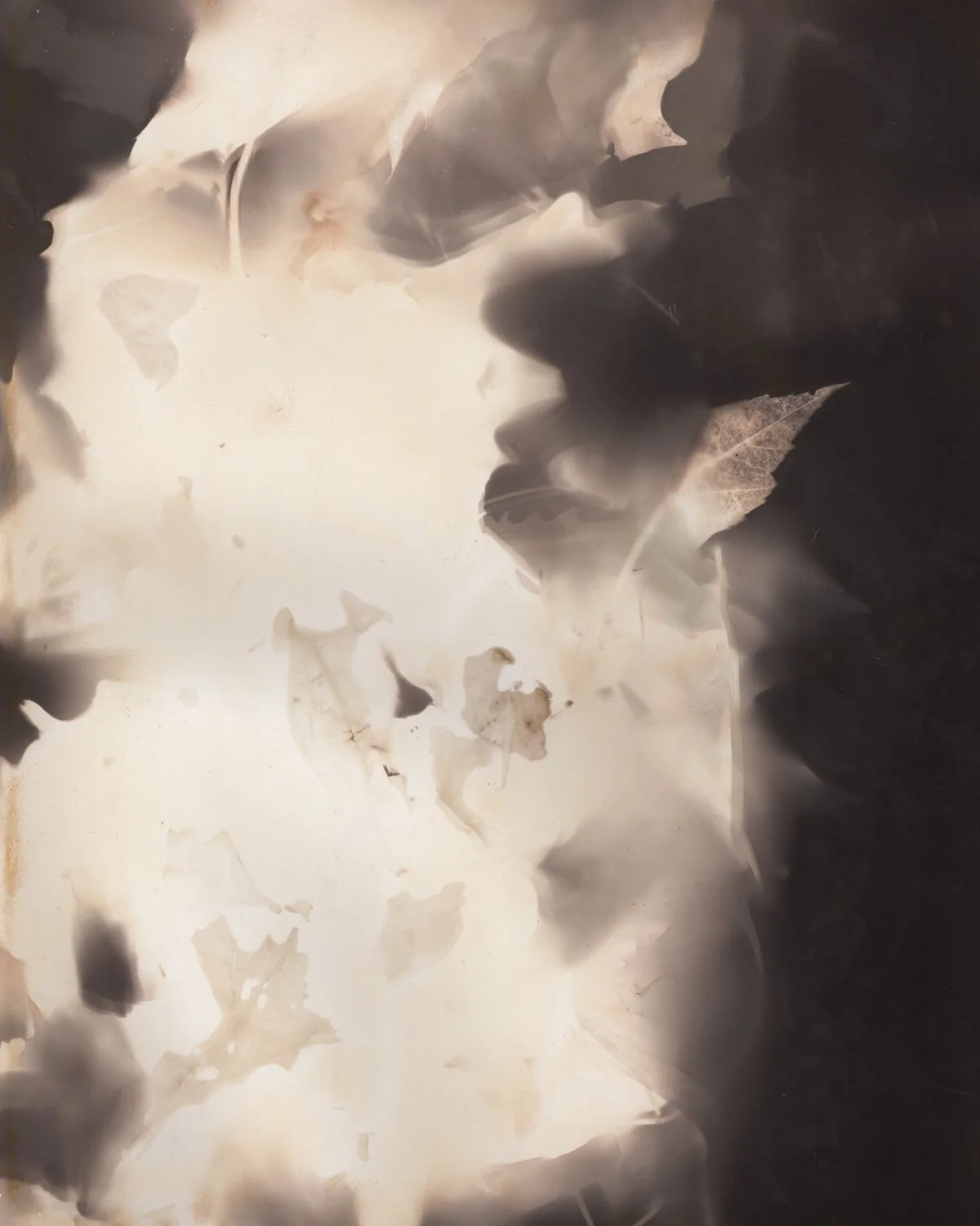 hermitage lumen edited-10.jpg