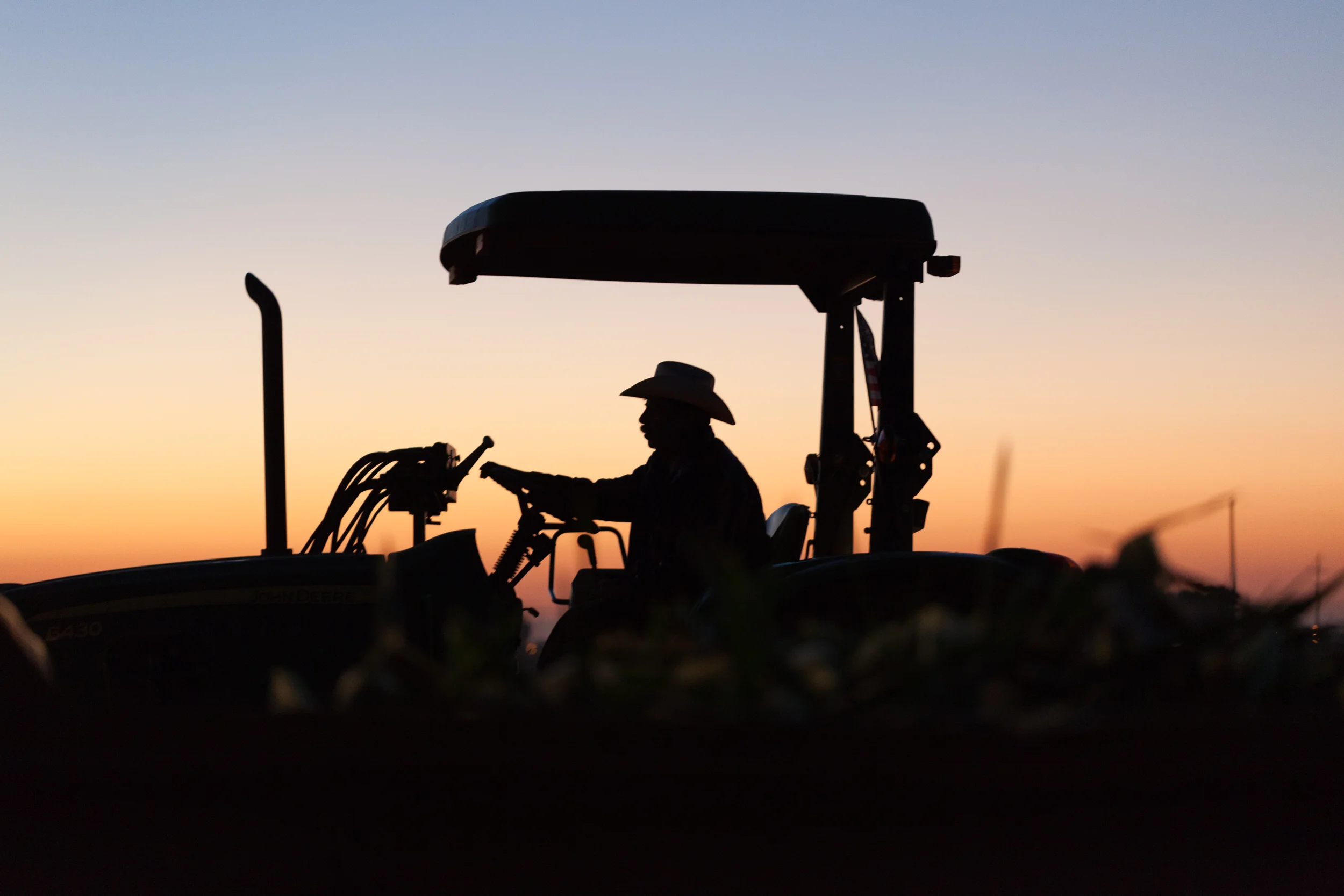 Corn Harvest, Brentwood, California