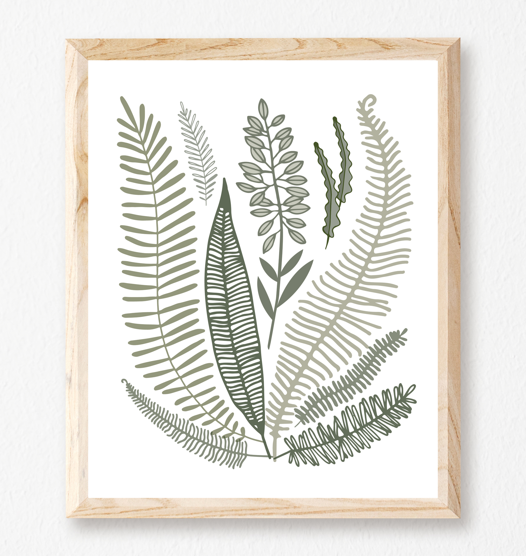 wildfern_framedwebimage.png