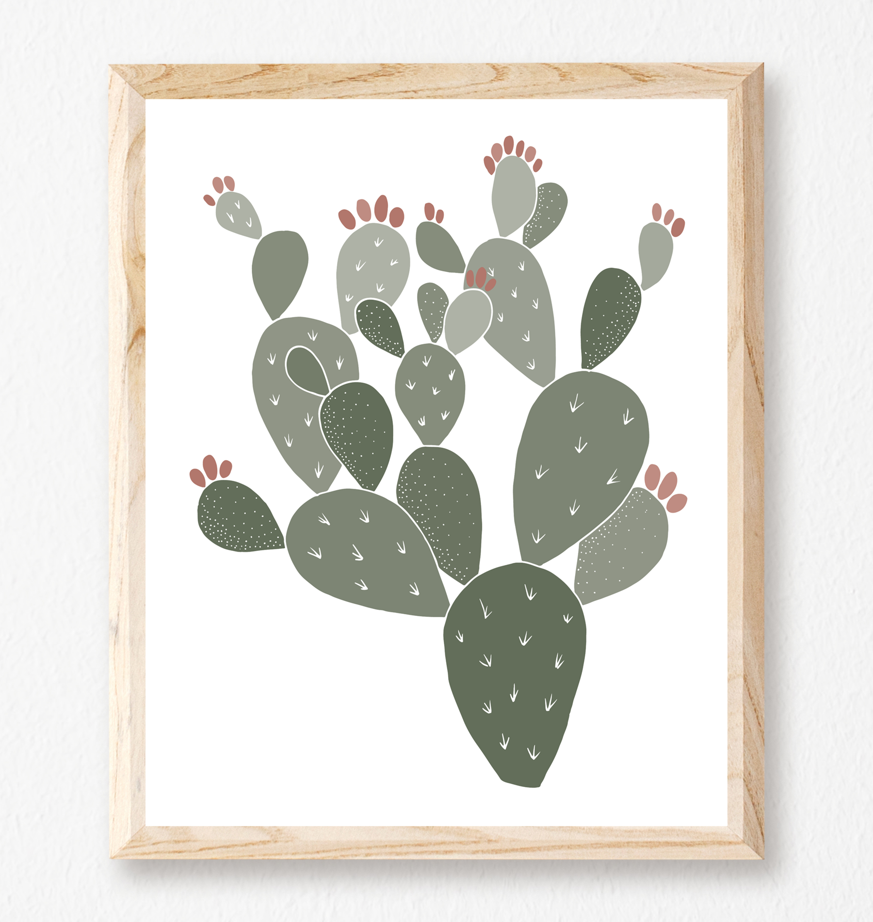 paddlecactus_framedwebimage.png