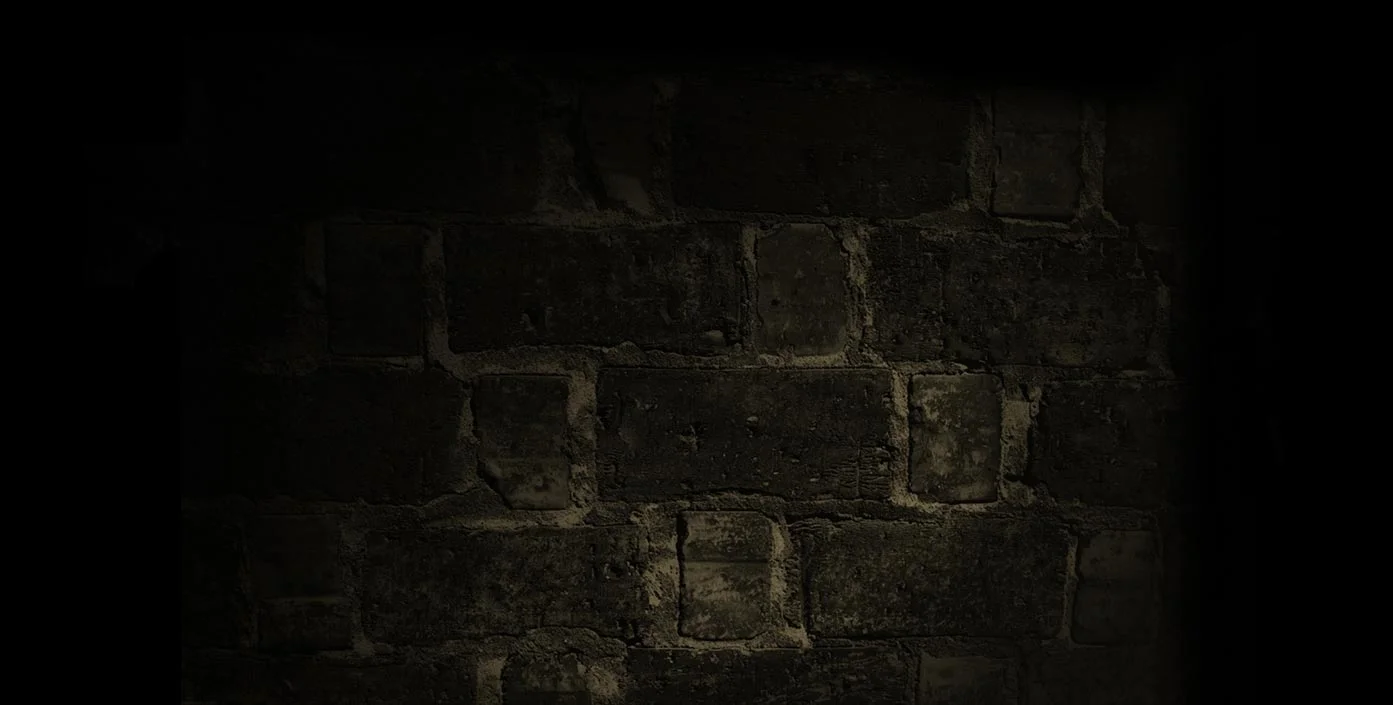 Homepage_opener_taller_brick2_small.jpg
