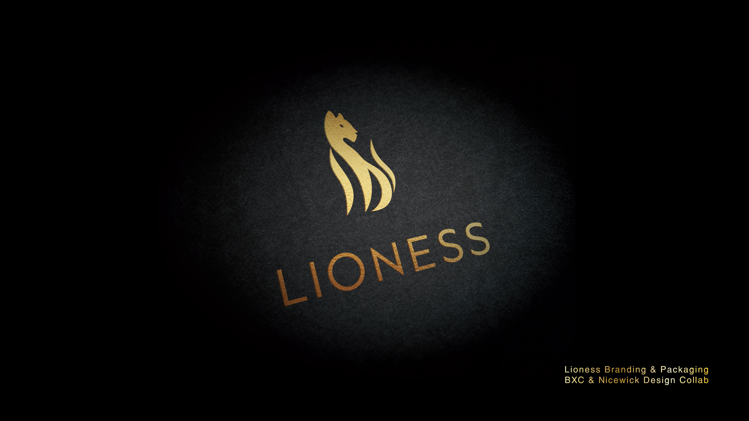 lioness-01.png