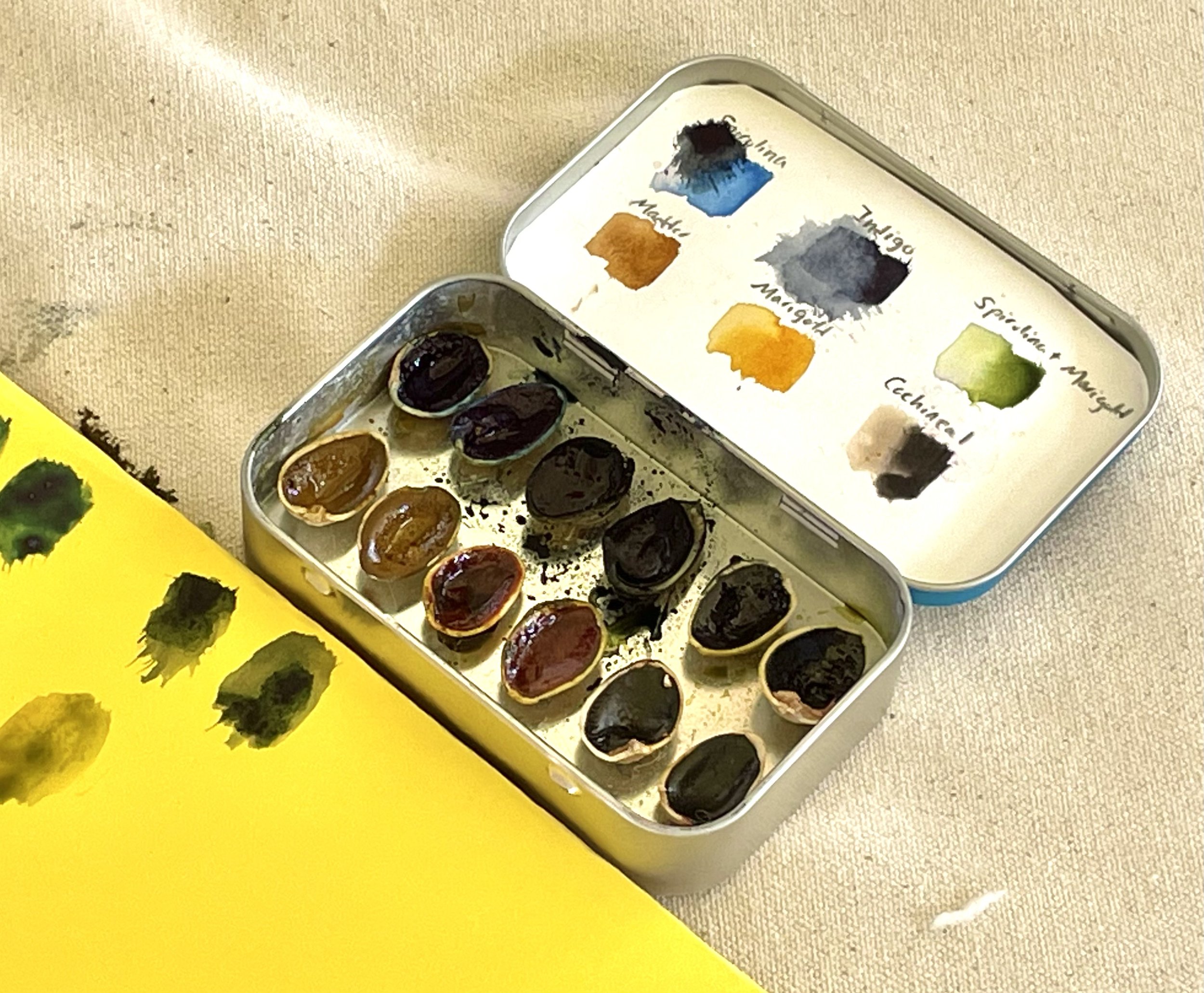  A handmade bio-based watercolor set using pistachio shells as paint containers. 