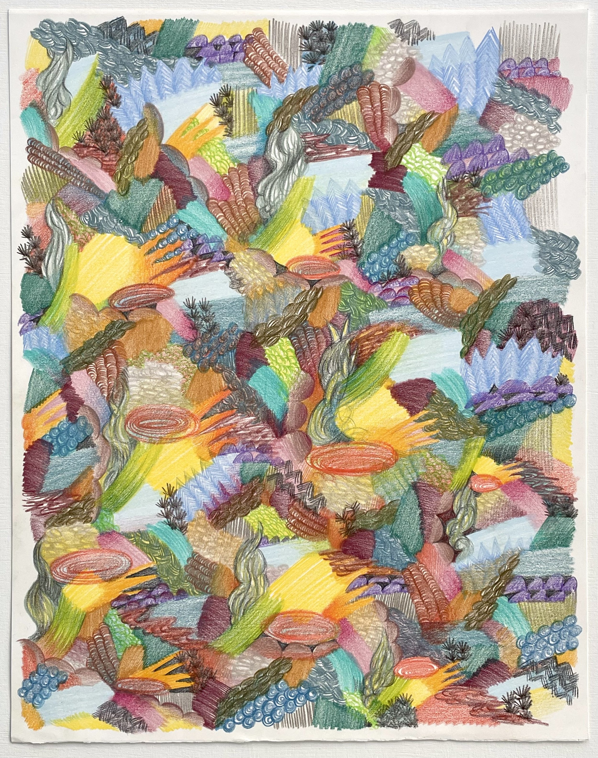  Color pencil on paper, 20 x 16 