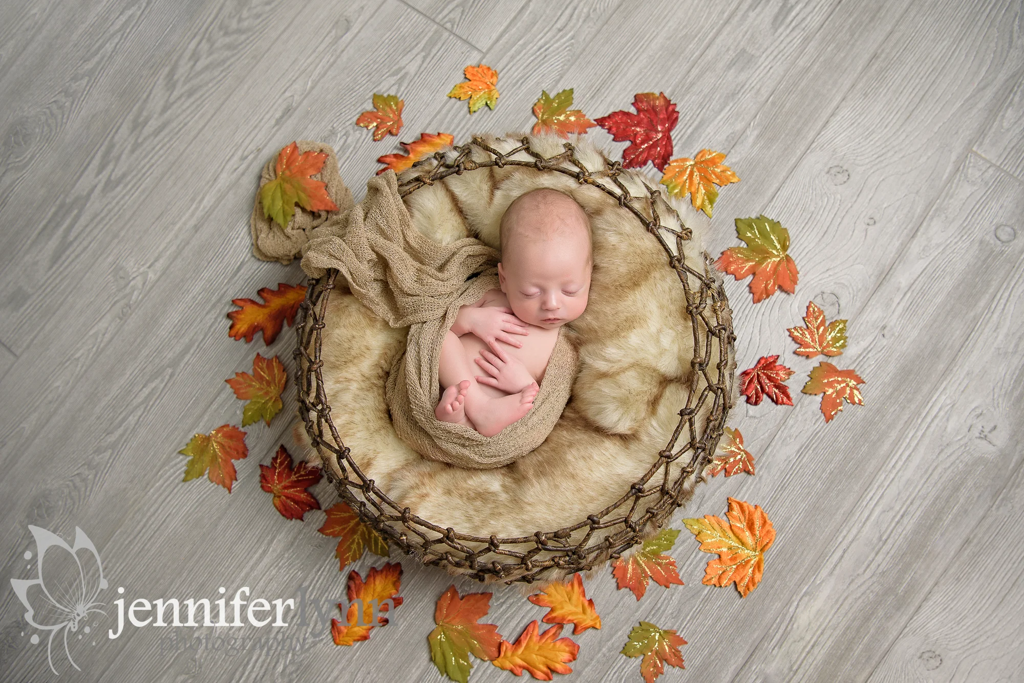Newborn Boy Basket Fall Leaves Autumn
