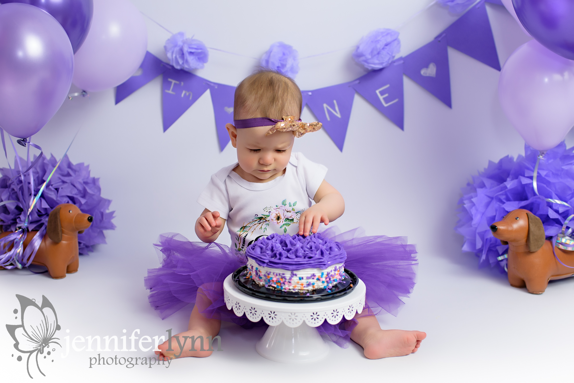 Baby Girl Purple Cake Smash
