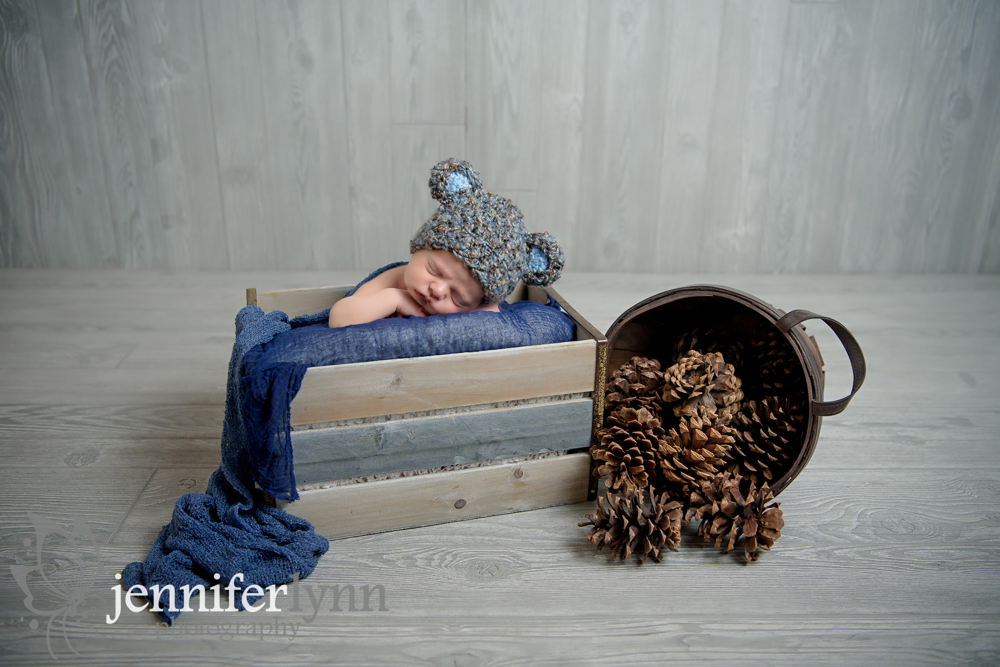 Newborn Boy Grey Crate and Pinecones with Bear Hat